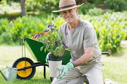 professional lawn care SE5