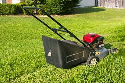 lawn care tips RM16