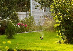 RM16 lawn mowing Little Thurrock