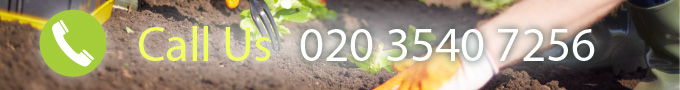 Call Us on 02084347256 Right Now for Quality Gardening Services